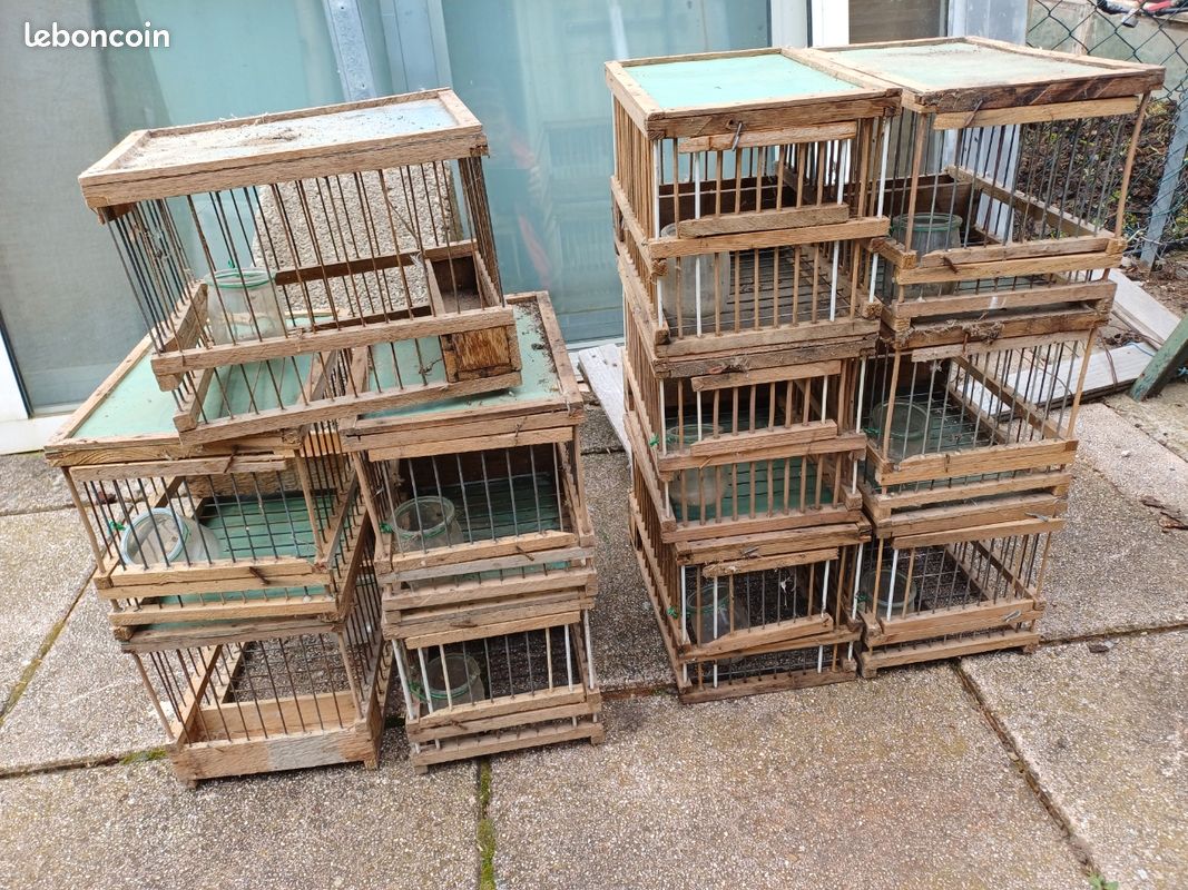 Cages à grives (image 1)