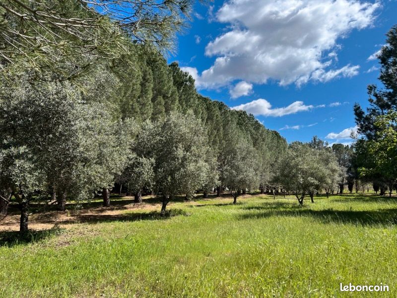 Terrain 413 m² Lezignan La Cebe · à Lézignan-la-Cèbe · 108 500 €