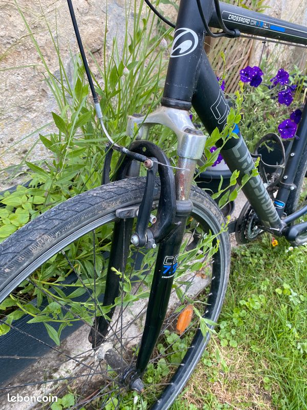 Vélo de route (image 5)