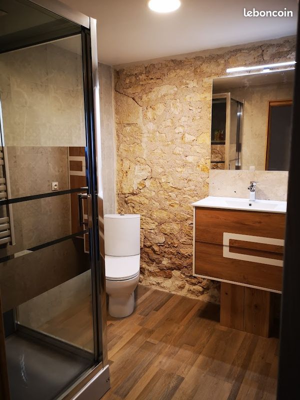 Spacieux gîte (12 personnes) au coeur du triangle d'or: région la plus ensoleillée du Tarn (image 8)