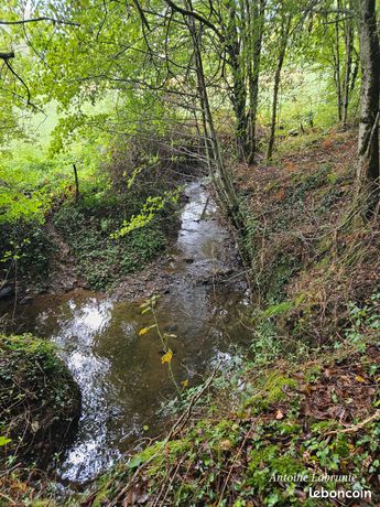 Forêt 73 000 M²