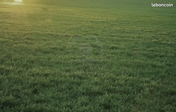 Terrain à bâtir de 386 m2 au prix de 119000 à SAINT-VINCENT-SUR-JARD · 119 000 €