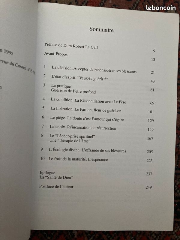 Livre de Thierry Gamelin « Cet Amour qui guérit. Une approche spirituelle de la santé » Éditions Brepols (image 3)