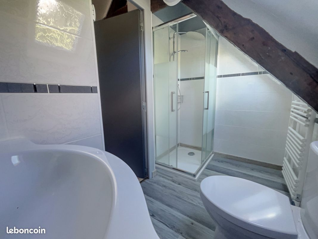 Maison 4 pièces 165 m² (image 16)