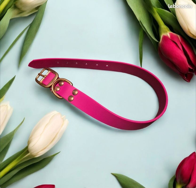 Collier M en biothane (image 2)