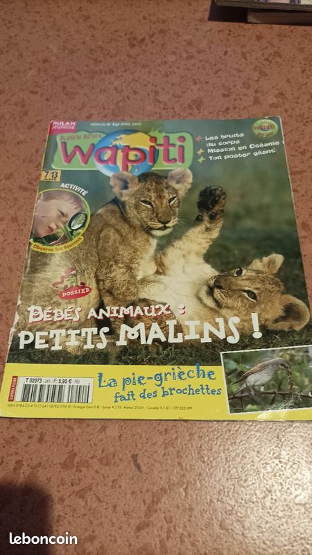 Wapiti (image 3)