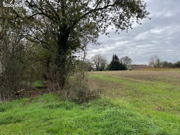 Terrain 2600 m² Boucagnères