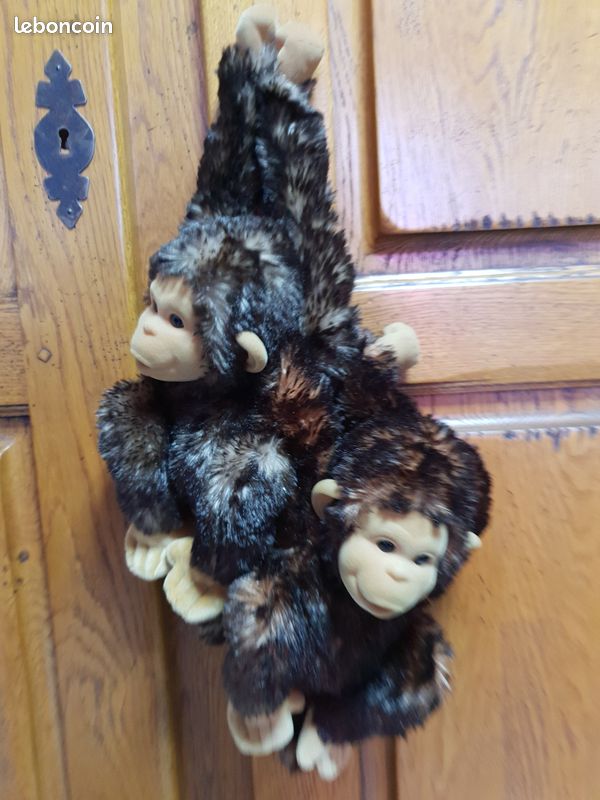 Peluche (image 2)