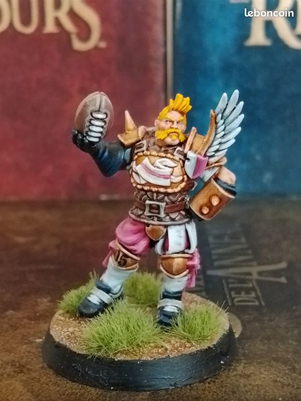 Vends Bloodbowl Team Noblesse Impériale (image 8)