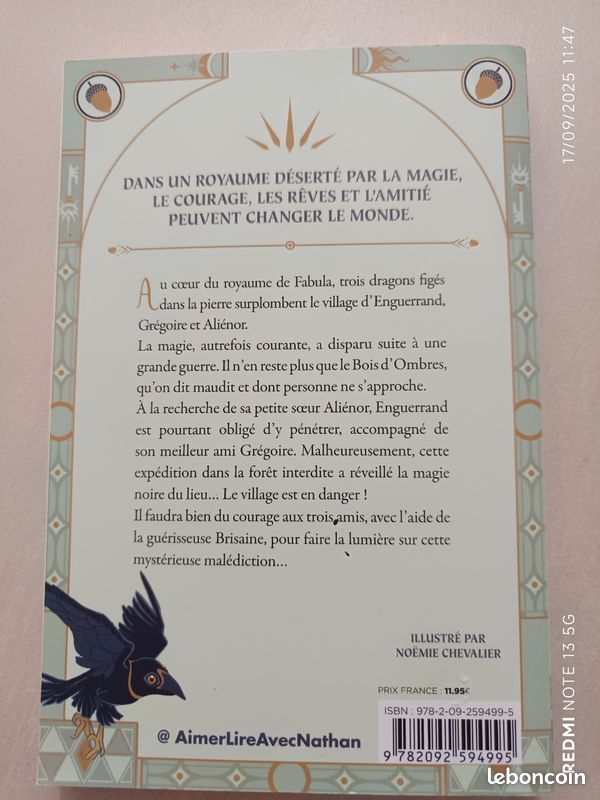 Les héritiers de brisaine (image 3)