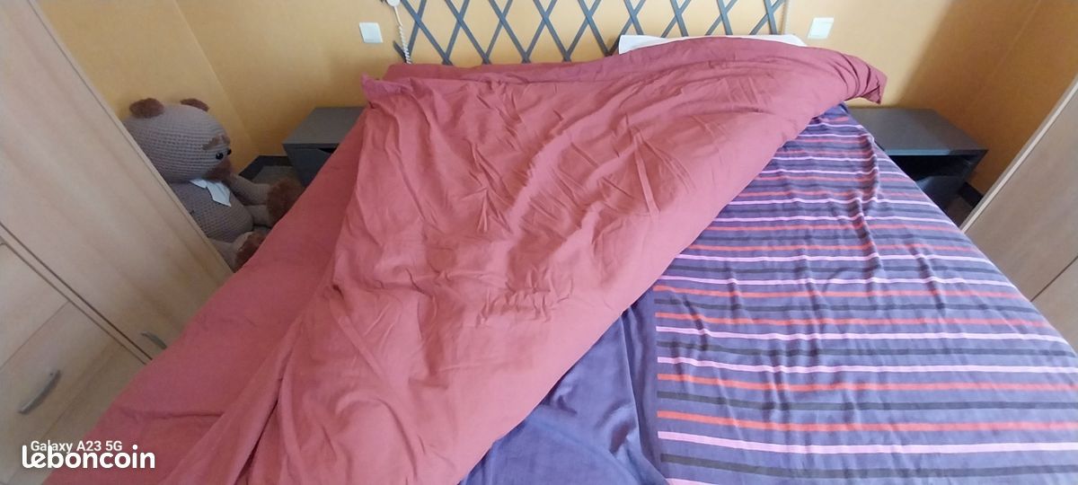 Grande couette en plume (image 3)