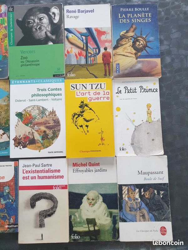 Lot 13 livres divers (image 3)