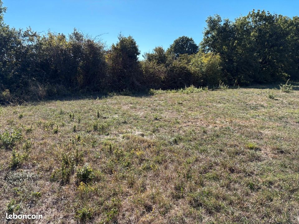 Terrain 529 m² Soual · 55 000 €