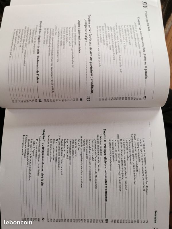 L'islam pour les nuls (image 5)