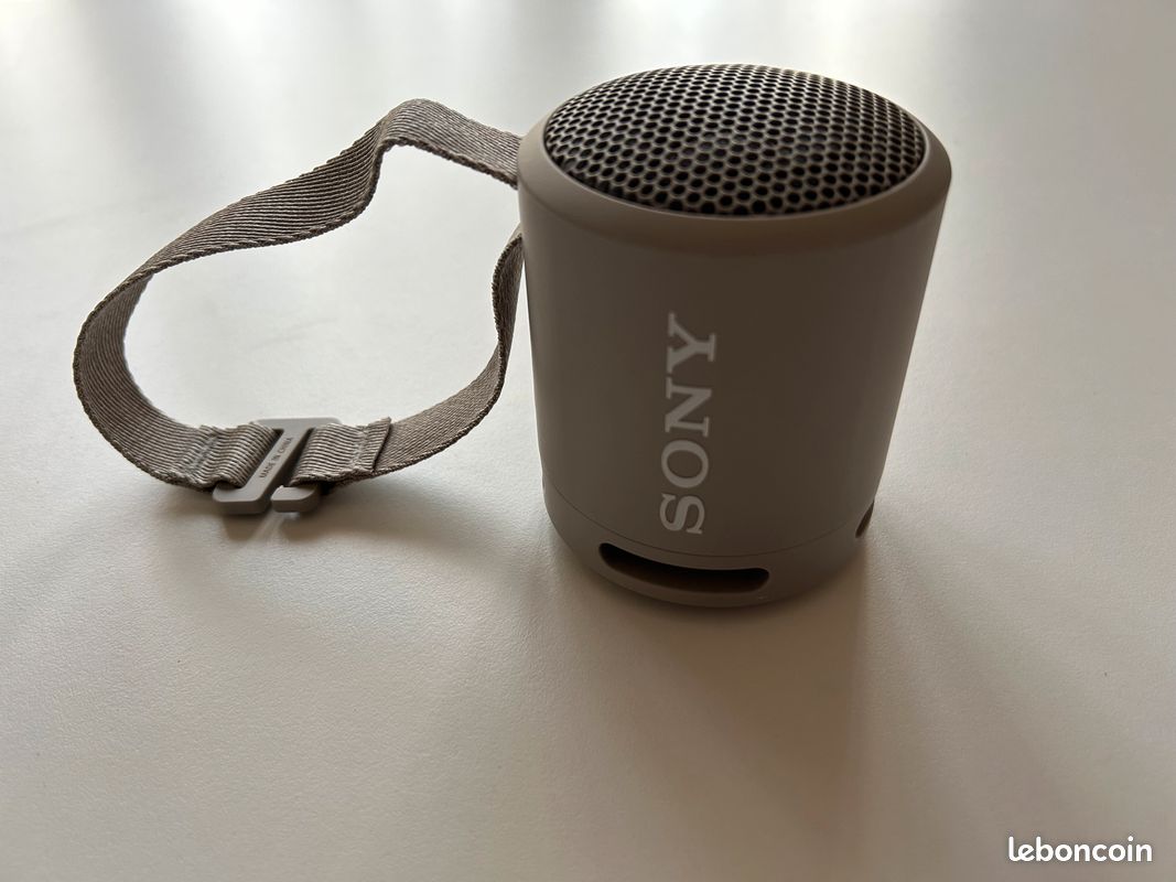 Enceinte sony wireless speaker (image 1)
