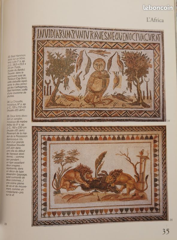 Carthage (image 3)