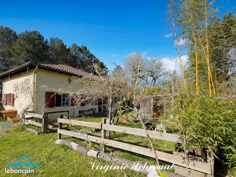 Maison 3 pièces 73 m² - Laluque 40465 (image principale 15)