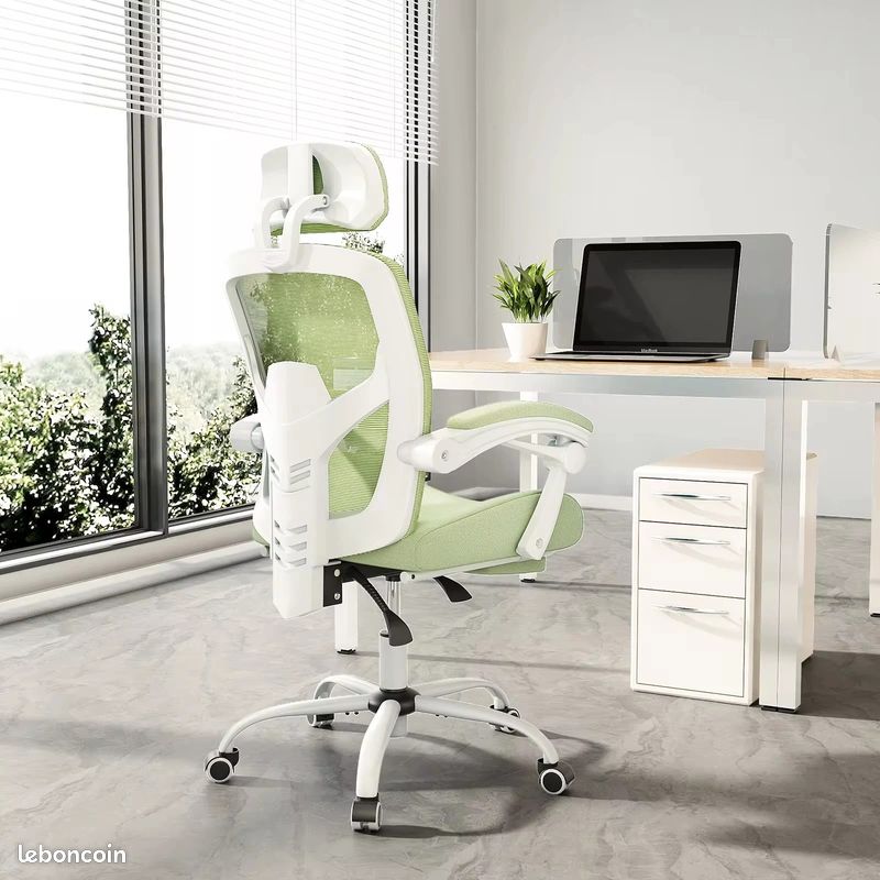 Fauteuil de bureau ergonomique avec repose-pieds (image 1)