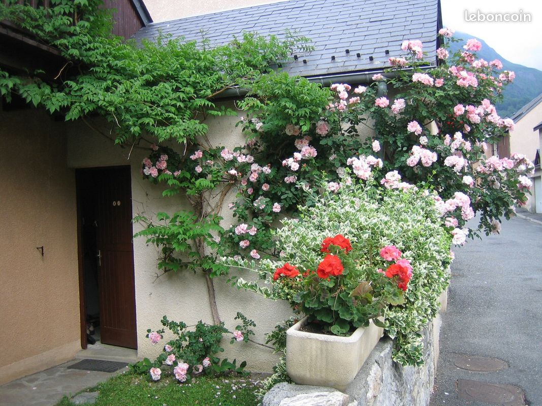Maison Luz Saint Sauveur Pyrénées (image 5)