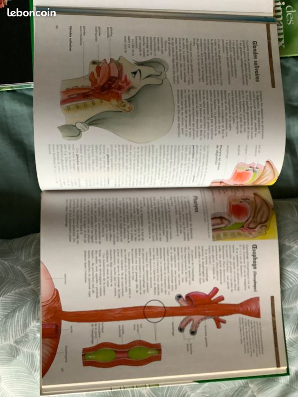 Livres sur les animaux, les dinosaures et le corps humain (image 5)