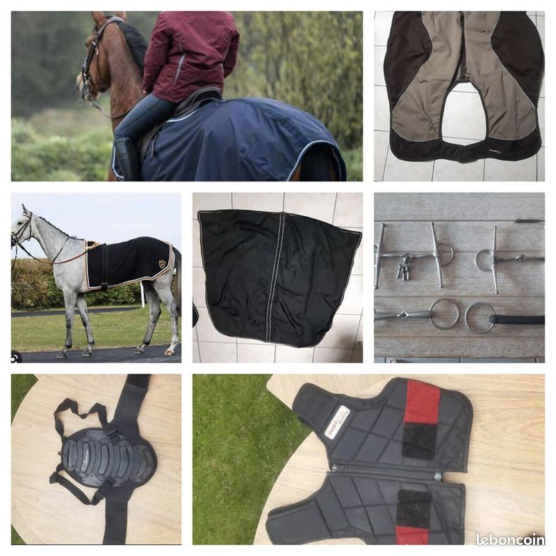 Vide sellerie (image 1)