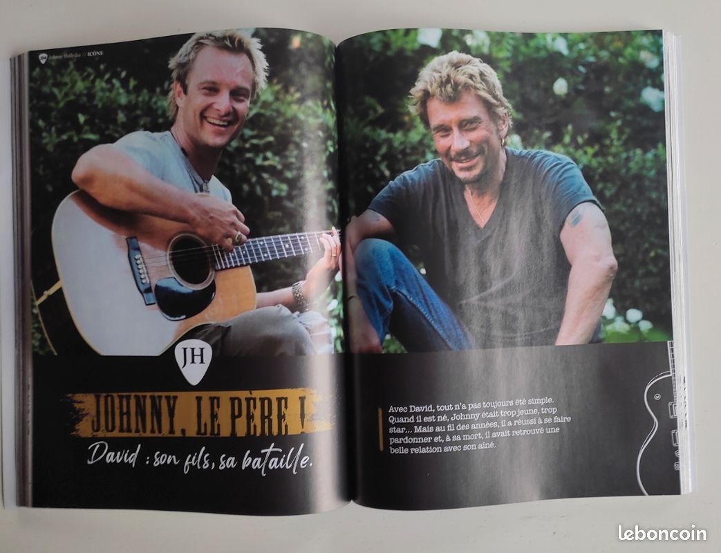 Livre collector Johnny Hallyday collection Icône (image 12)
