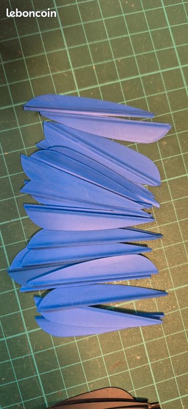 EMPENNAGE DE PLUMES De Tir à L'arc 10 Pièces 'empennage De Plumes De