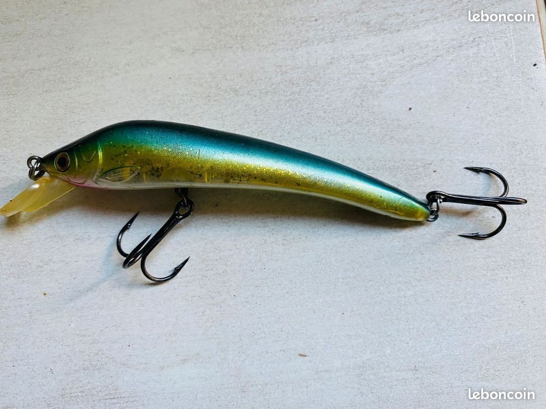 1 poissons nageurs pour la pêche avec bruiteur
