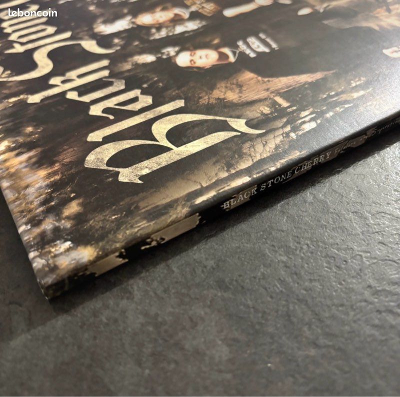 Black Stone Cherry Folklore and Superstition double vinyle (image 4)