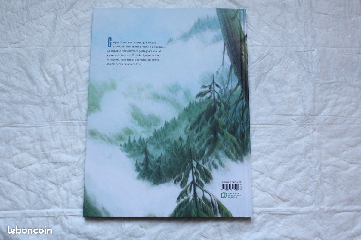 Livre grand format pour enfants LE ROI ET L'ENFANT (image 10)