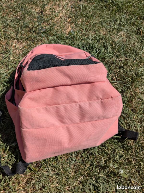 Sac à dos Eastpak pinapple rose 2 compartiments (image 6)