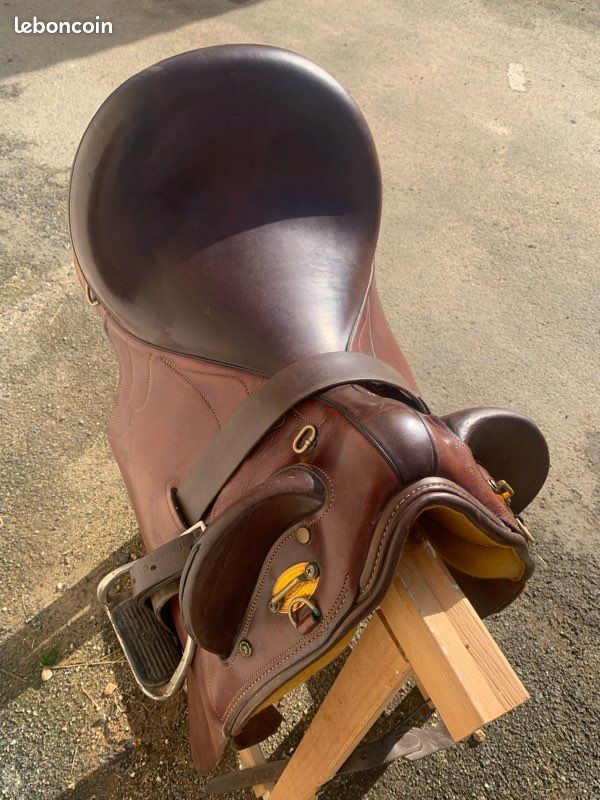 recherche sangle de selle australenne