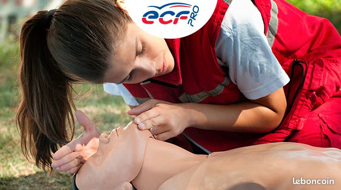 SST - Sauveteur Secouriste du Travail (H/F/X) (image 1)