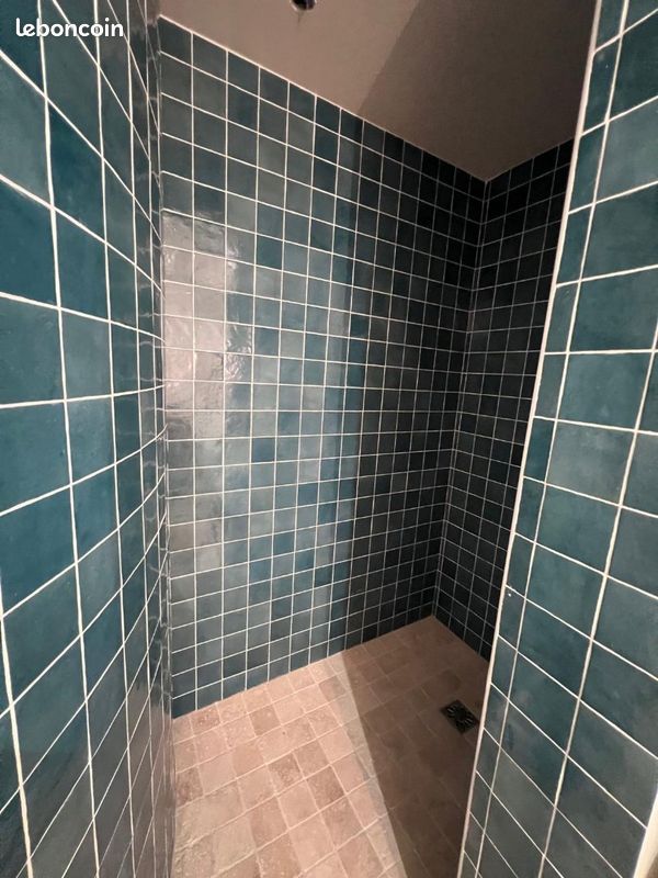 Appartement 5 pièces 195 m² (image 11)