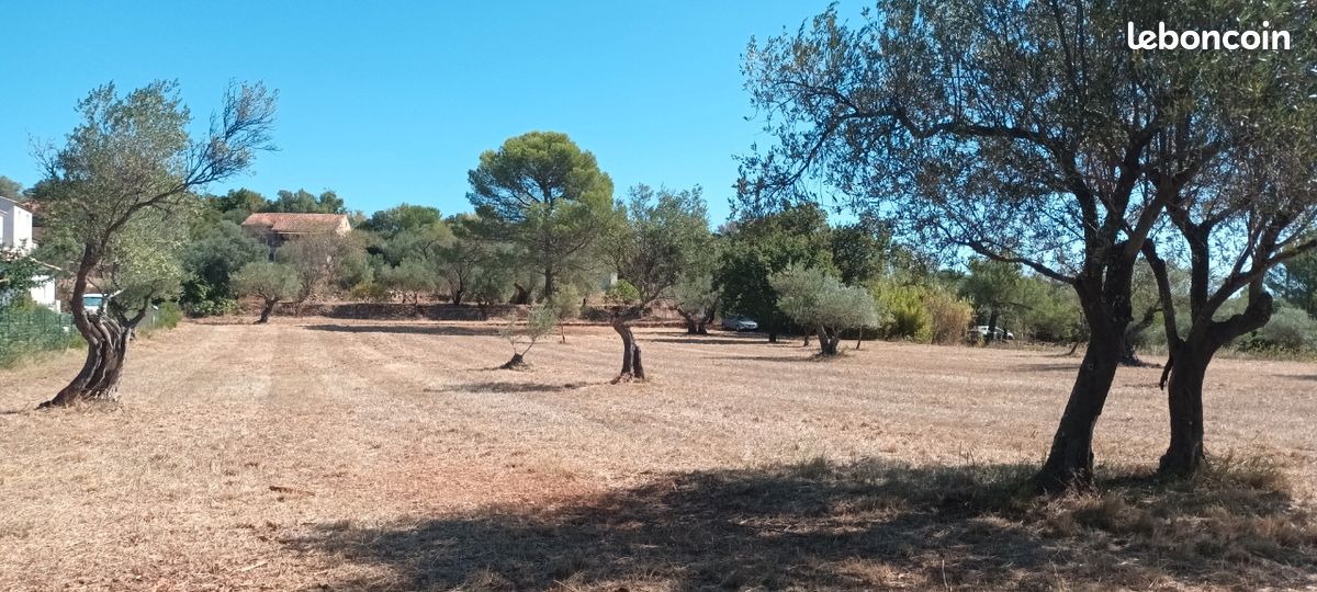 Vente terrain constructible · à Cuers · 309 000 €
