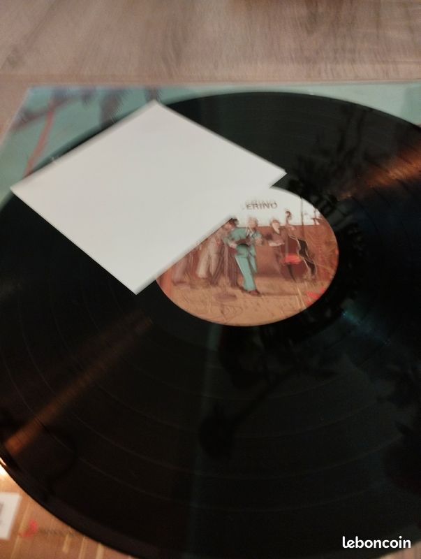 Vinyle sanseverino papillon 🦋 (image 3)