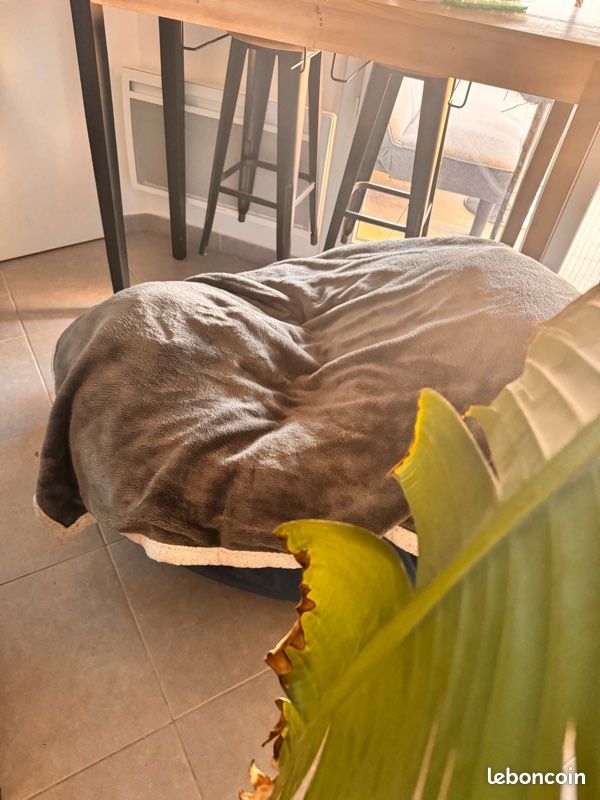 Pouf géant (image 4)