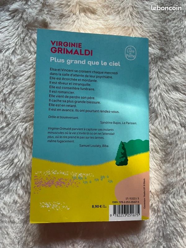 📚 Plus grand que le ciel – Virginie Grimaldi (image 2)