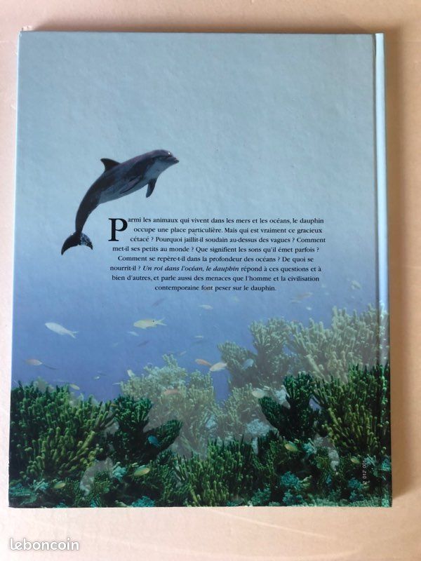 Un roi dans l’océan, le dauphin (image 2)