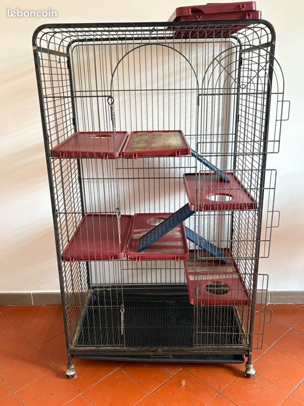 Cage à rongeur (image 1)