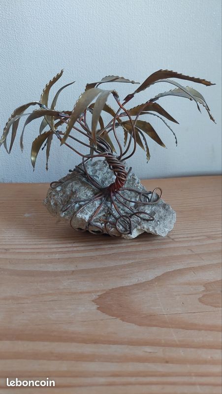 Palmier Daniel haeseleer (image 1)