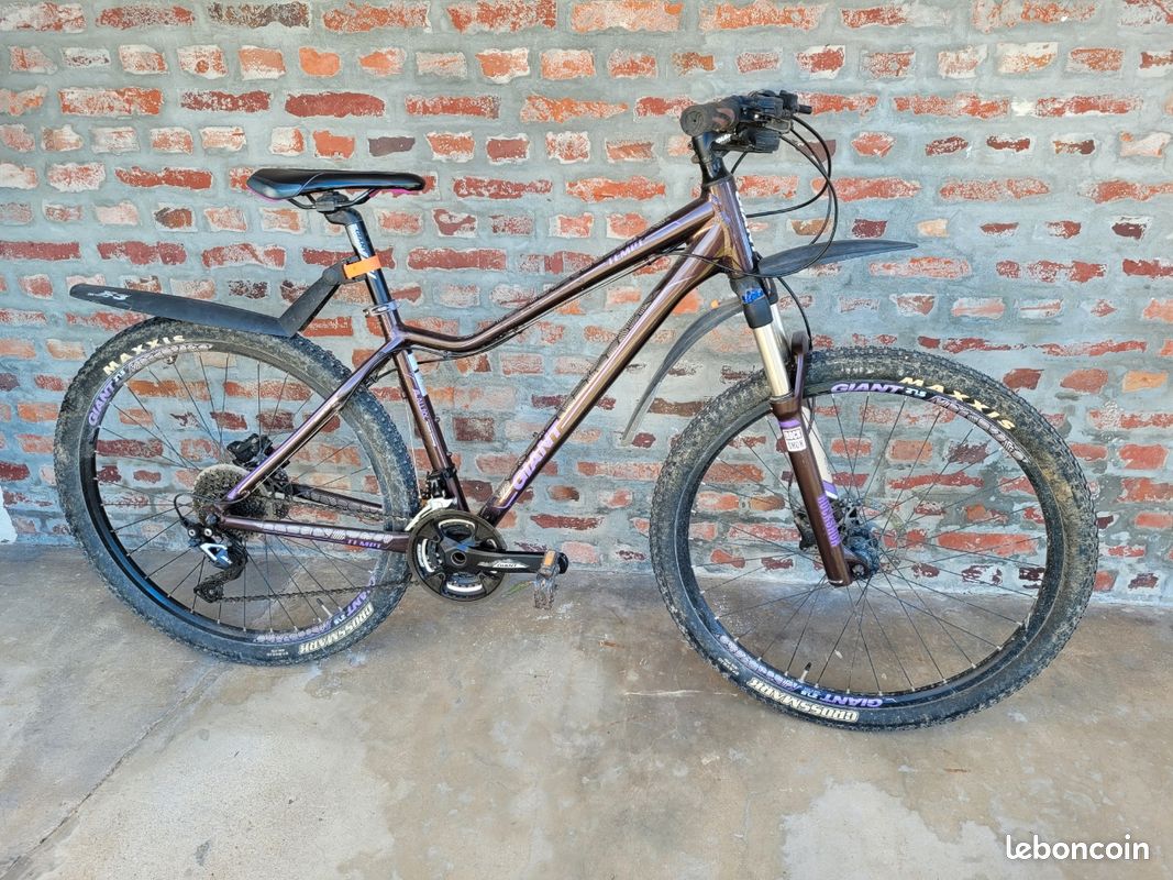 VTT giant Tempt (image 1)