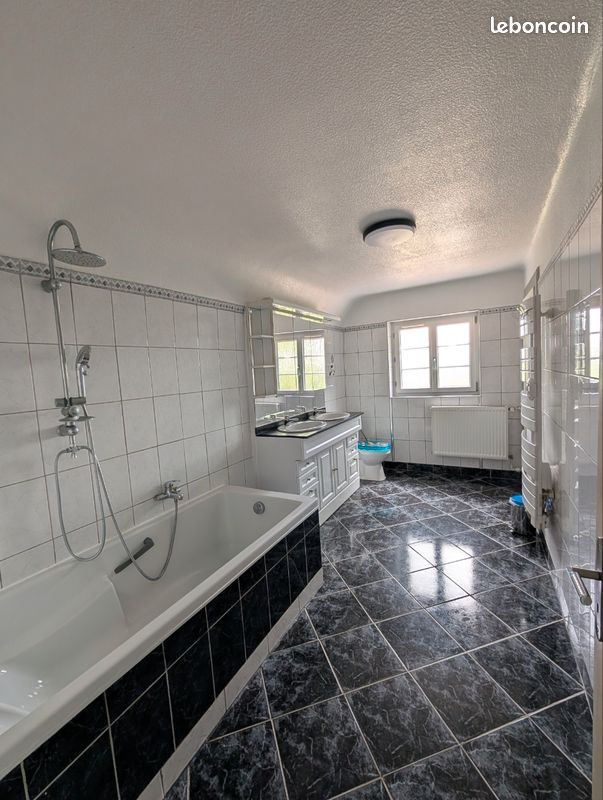 Maison 10 pièces 327 m2 (image 12)