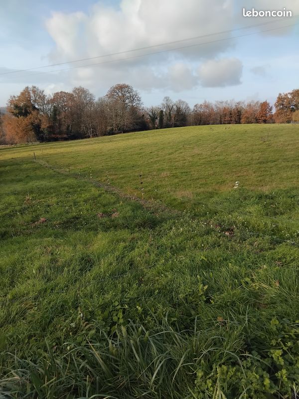 Terrain de 2000 m2 · à Séreilhac · 35 000 €