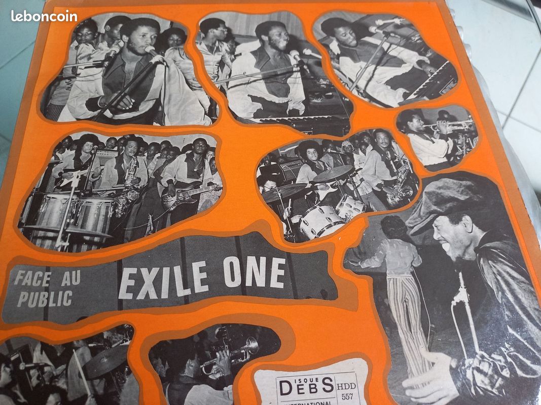 Loisir vend vinyl (image 13)