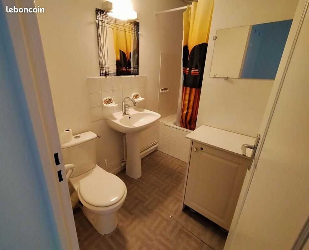 Appartement 2 pièces 53 m² - Limoges 87000 (image principale 3)