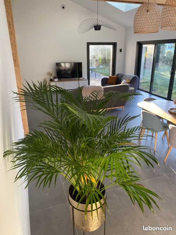 Maison 7 pièces 230 m² · à La Membrolle-sur-Choisille · 230 m² · 545 000 €