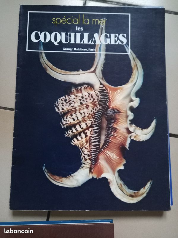 Livre sur les coquillages (image 2)