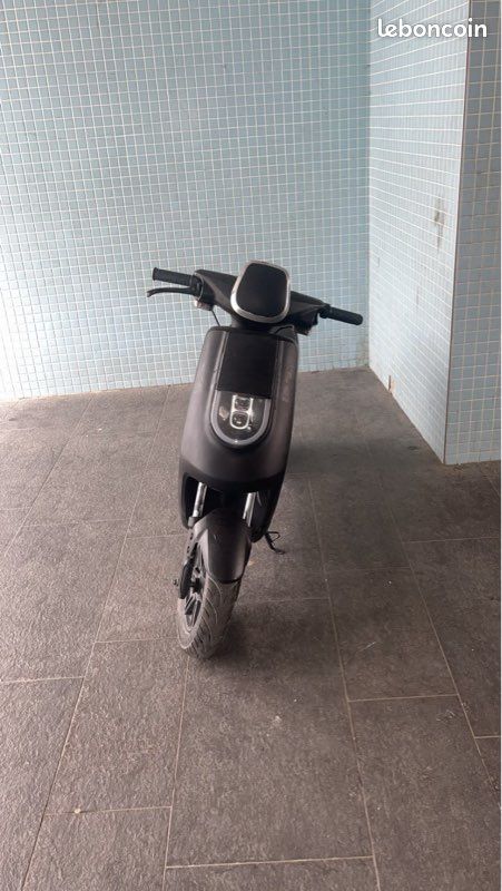 Scooter Électrique NIU 50cc (image 2)
