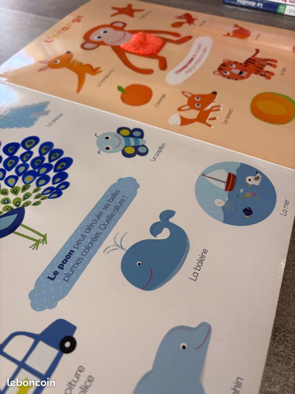 Mes premières couleurs à toucher (image 6)